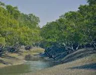 Sundarbans Travel Guide : Wildlife, Boat Safaris and Responsible Tourism