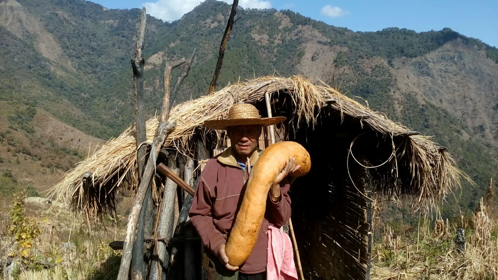 Jhum farmer in Nagaland, Phek district