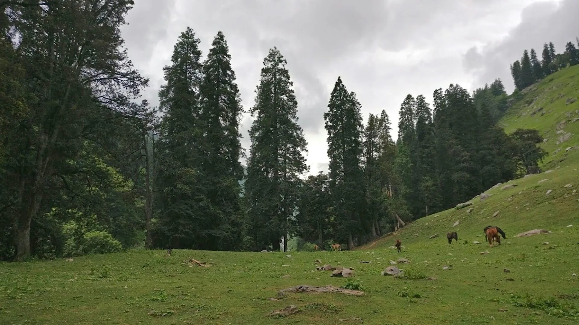 Himachal Group Adventure Tour
