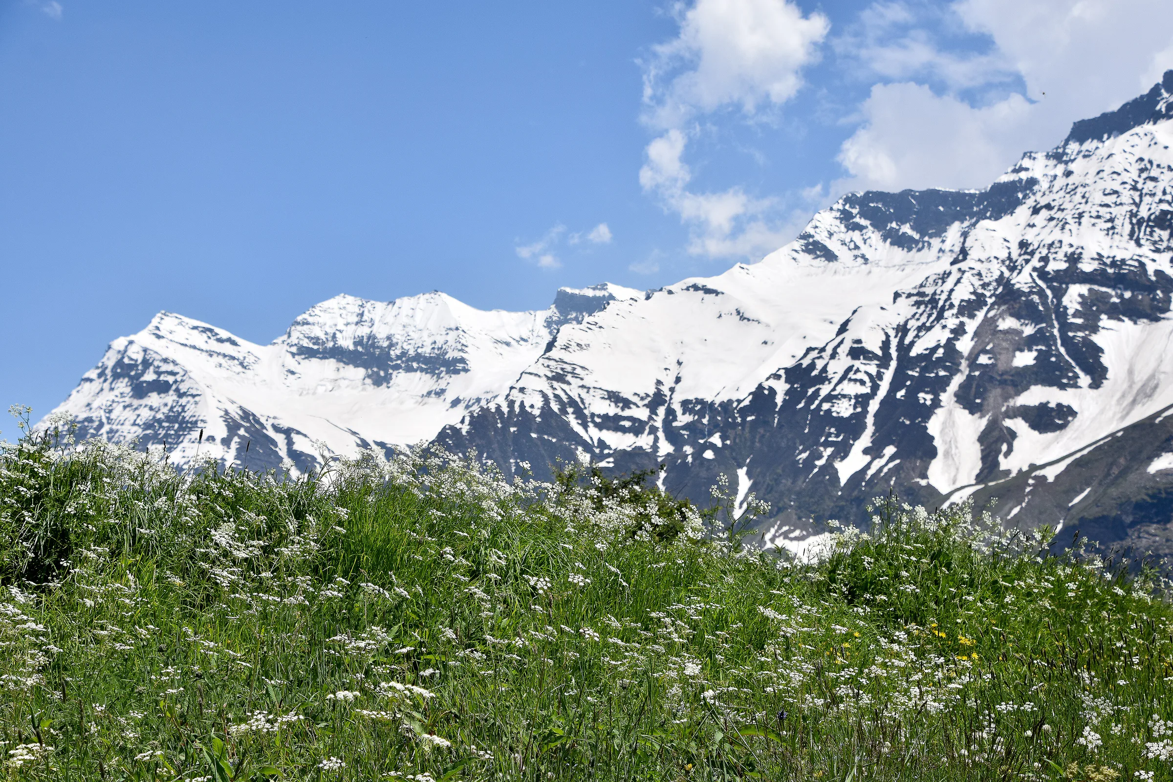 Best Places to Visit in Sissu, Lahaul Valley