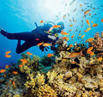 Best Places for Water Sport In India ?