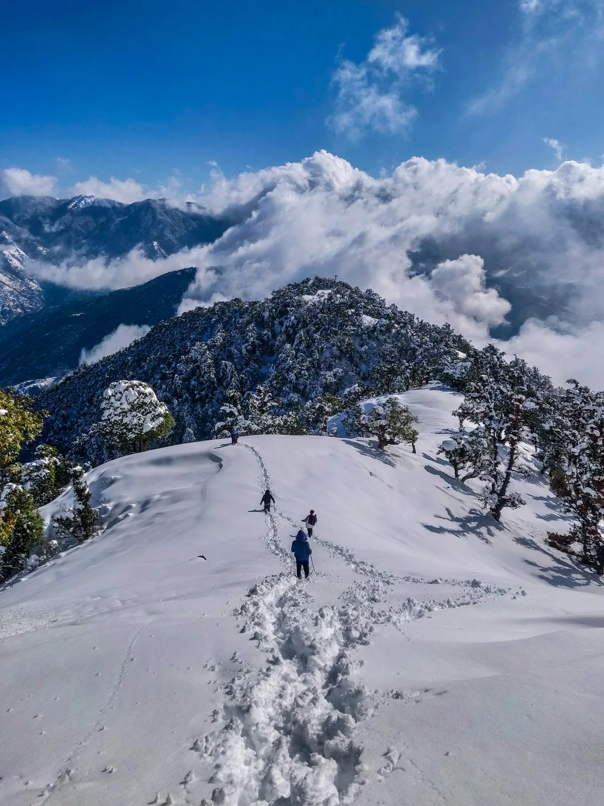 Shimla, Manali, Dharmshala