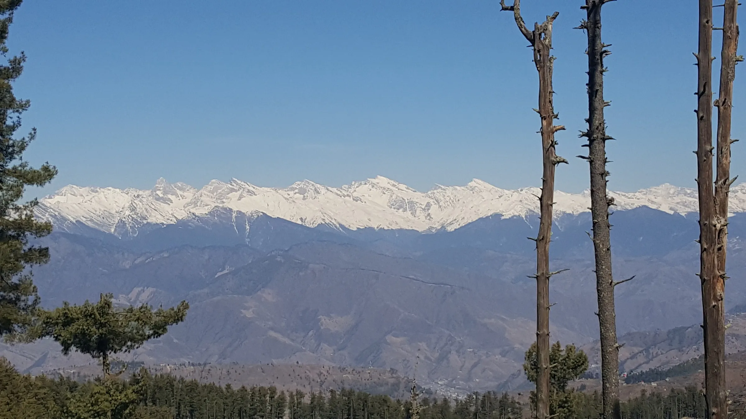 Chanshal Pass: Himachal’s Offbeat High Pass Between Rohru and Dodra Kwar