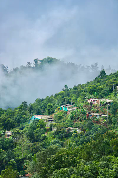 Coorg vs Chikmagalur : Which Hill Destination Should You Choose ?