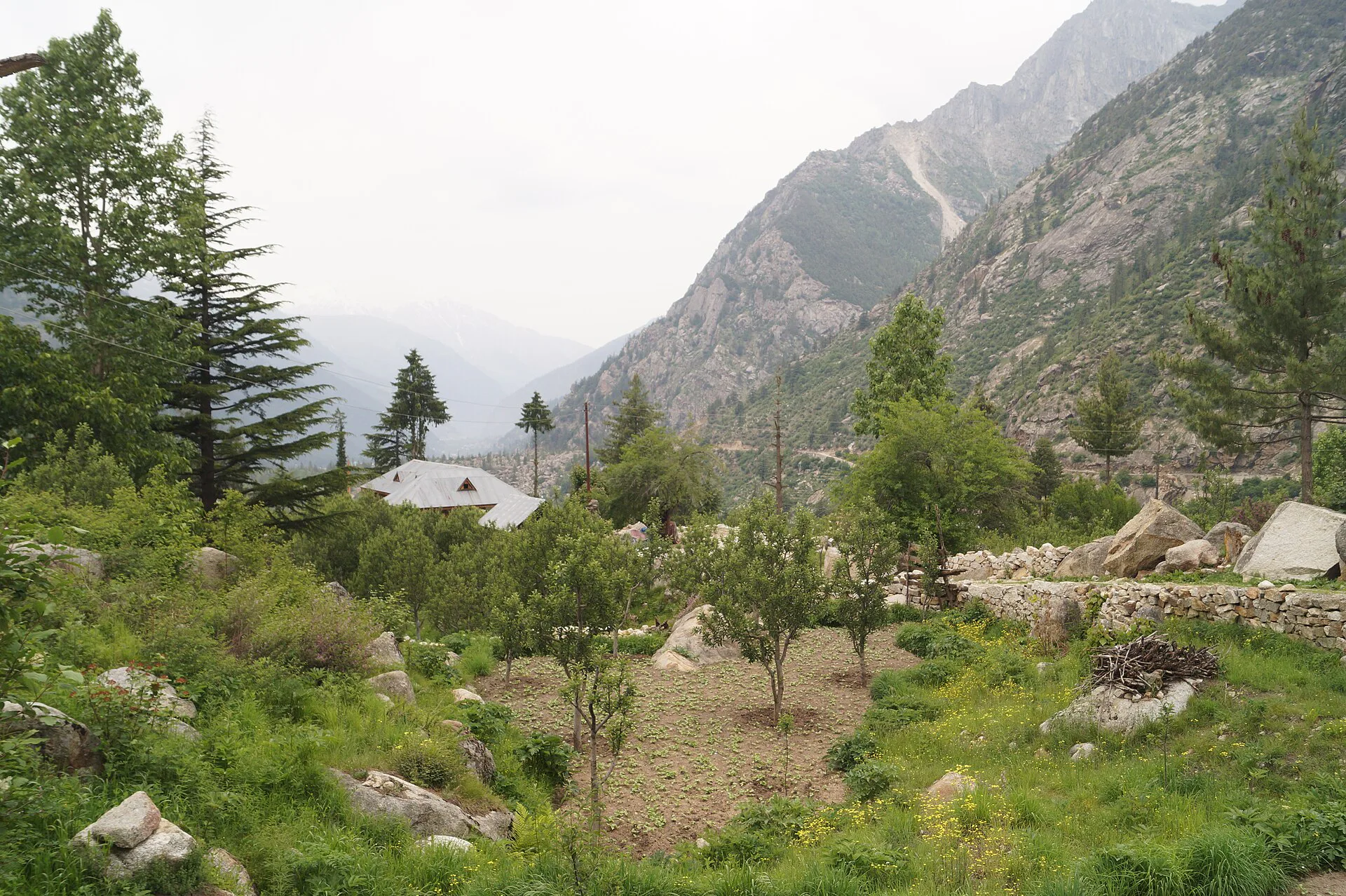Budget-Friendly Destinations for Couples in India