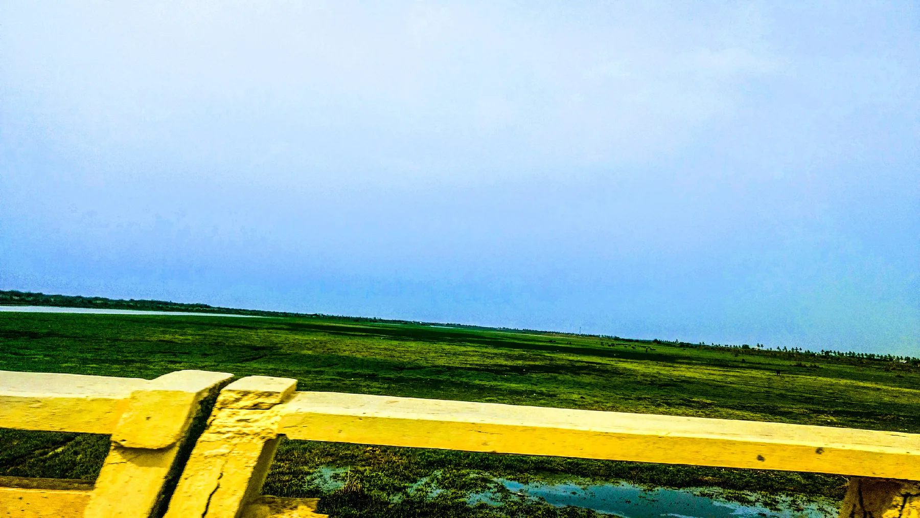 Kolleru lake AndhraPradesh