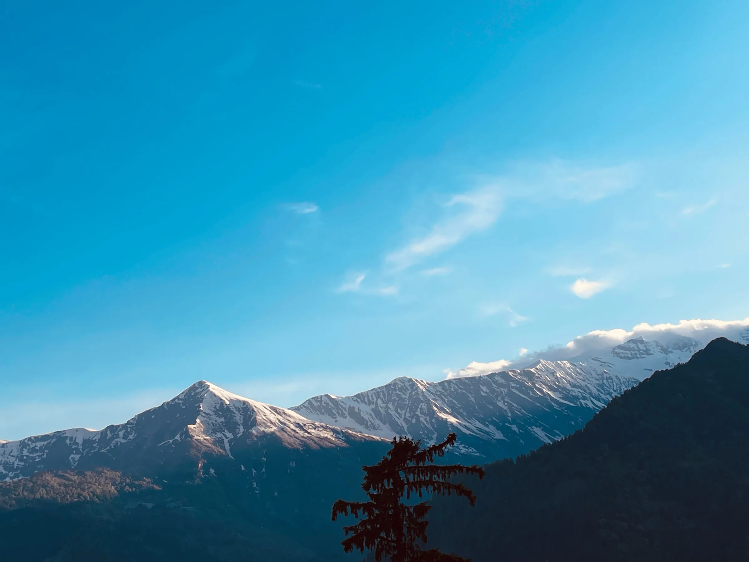 Dharmshala 