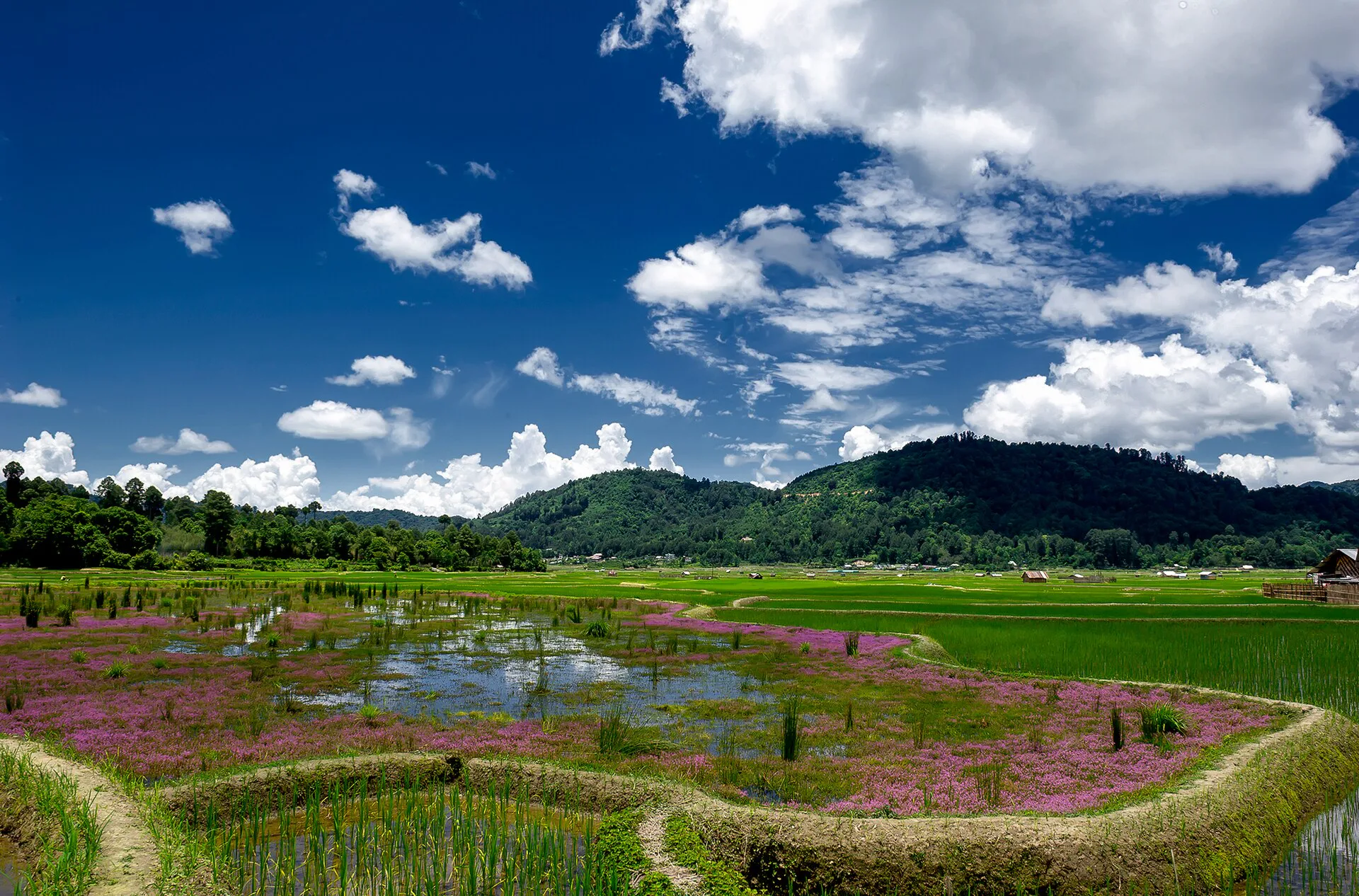 Offbeat Places in India That Travellers Are Looking At Now