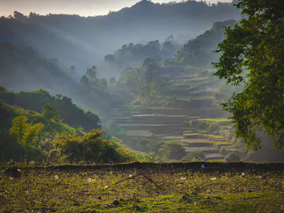 Araku Valley Travel Guide : Scenic train Journeys, Coffee Plantations and Waterfalls