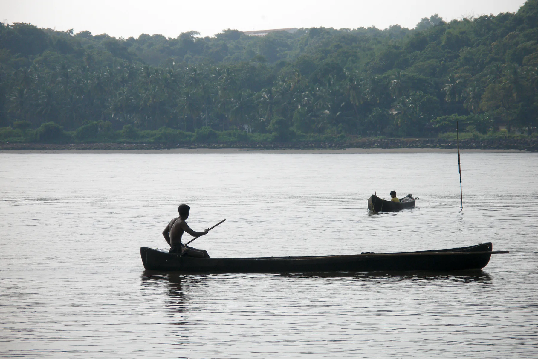 Panaji, Goa, India, Fishing boats, Mandovi River