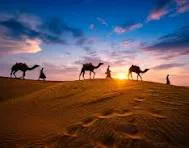 Best Desert Experience in India: Rajasthan vs Gujrat