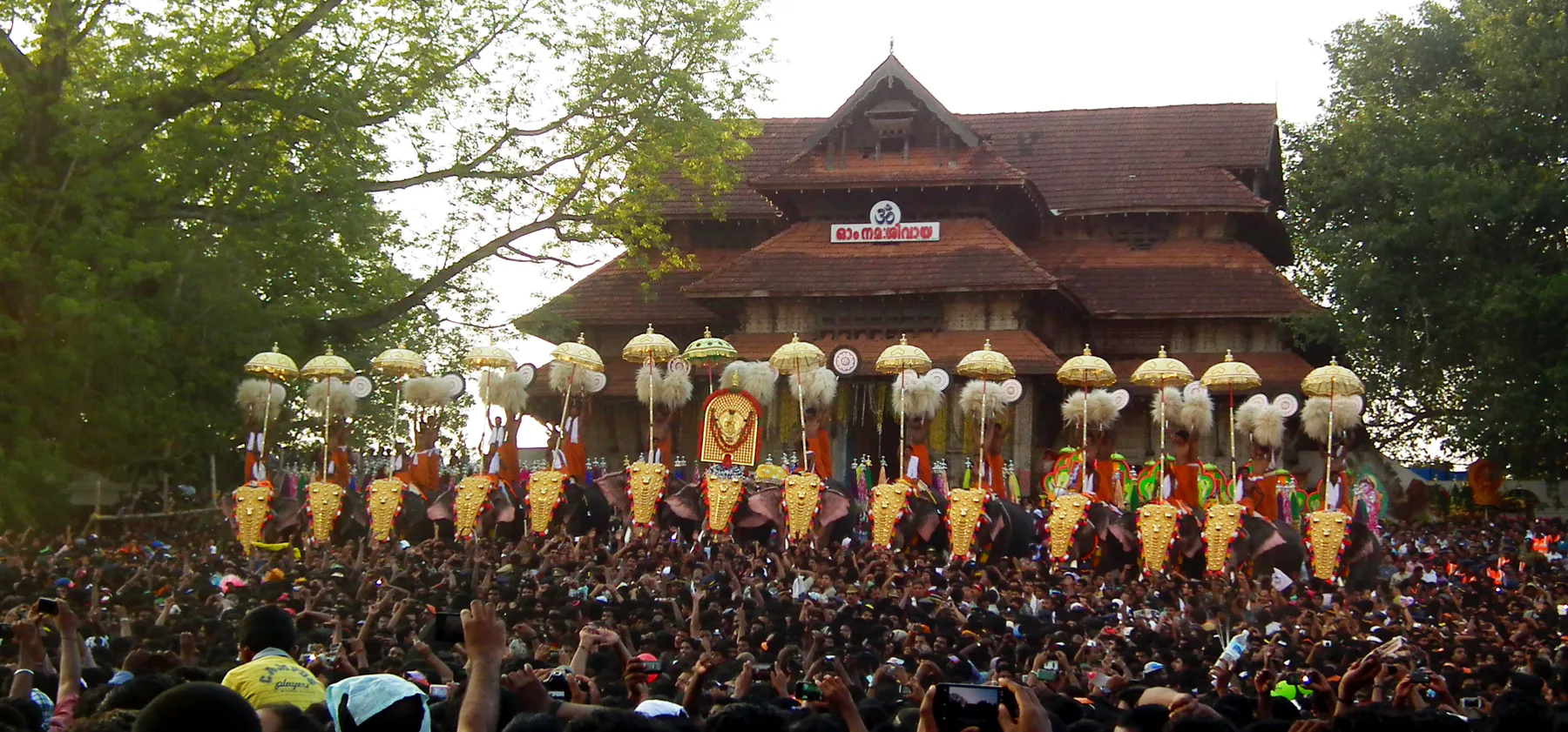 Kudamatom at thrissur pooram 2013 7618