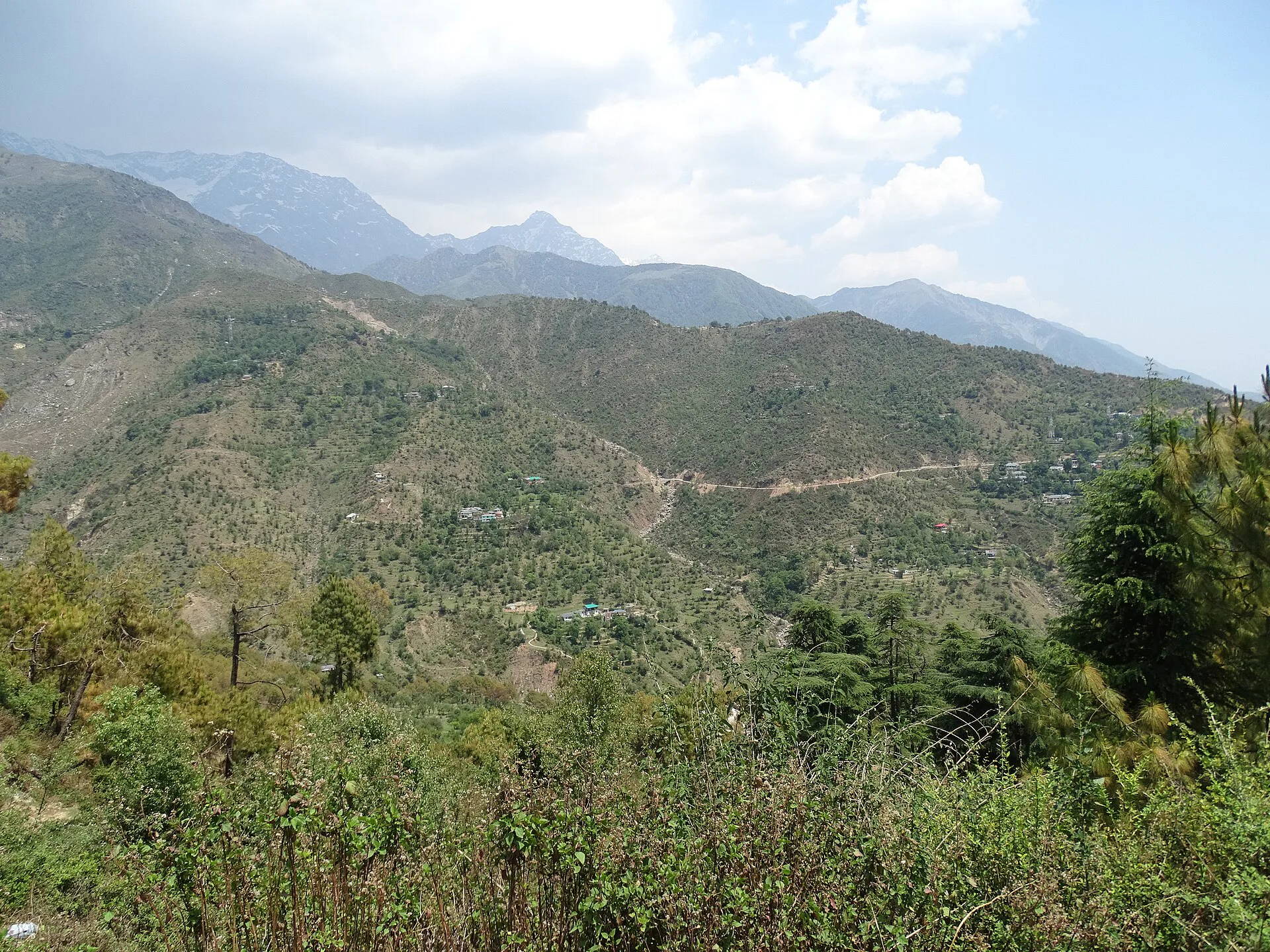 Dharamshala, Palampur and Bir Billing 4-Day Itinerary