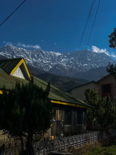 How to Choose Between a Hotel, Homestay Resort and Campsite